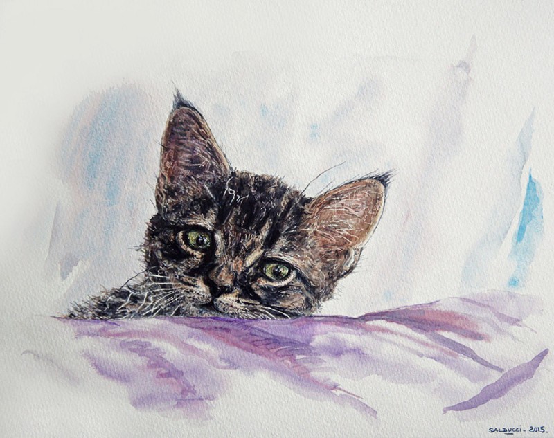 portraitiste marseille chat